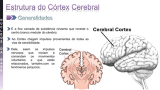 É a fina camada de substância cinzenta que reveste o
centro branco medular do cérebro;
Ao Córtex chegam impulsos provenientes de todas as
vias de sensibilidade;
Dele, saem os impulsos
nervosos que iniciam e
comandam os movimentos
voluntários e que estão
relacionados, também,com os
fenômenos psíquicos;
N
Ú
C
L
E
O
S
D
A
B
A
S
E
 