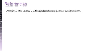 N
Ú
C
L
E
O
S
D
A
B
A
S
E
MACHADO, A. B.M.; HAERTEL, L. M. Neuroanatomia funcional. 3.ed. São Paulo: Atheneu, 2006.
 