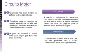 N
Ú
C
L
E
O
S
D
A
B
A
S
E
VIA DIRETA
VIA INDIRETA
A conexão do putâmen se faz diretamente
com o pálido medial e descendente para os
núcleos ventral anterior e ventral lateral do
tálamo de onde se projetam para as
mesmas áreas motoras de origem.
Conexão com o pálido lateral, que, por
sua vez, projeta-se para o núcleo
subtalâmico e deste para o pálido medial.
• Origina-se nas áreas motoras do
córtex e na área somestésica;
• Projeta-se para o putâmen de
maneira somatotópica, ou seja, para
cada região do córtex a uma região
correspondente no poutâmen;
• A partir do putâmen, o circuito
motor pode seguir por duas vias:
direta e indireta.
 