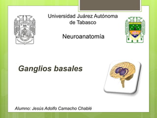 Universidad Juárez Autónoma
de Tabasco
Neuroanatomía
Alumno: Jesús Adolfo Camacho Chablé
Ganglios basales
 