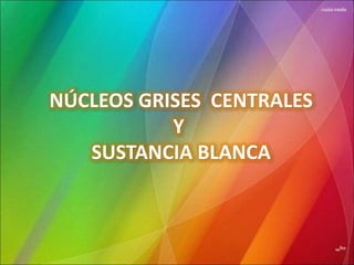 NÚCLEOS GRISES CENTRALES
Y
SUSTANCIA BLANCA
 