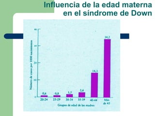 Influencia de la edad materna
en el síndrome de Down
 