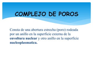 Consta de una abertura estrecha (poro) rodeada
por un anillo en la superficie externa de la
envoltura nuclear y otro anillo en la superficie
nucleoplasmatica.
COMPLEJO DE POROS
 