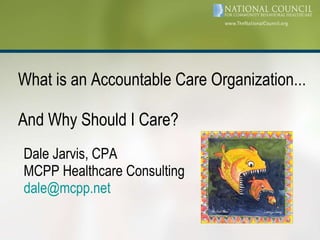 Dale Jarvis, CPA MCPP Healthcare Consulting [email_address] ,[object Object]