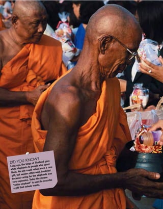 DID YOU KNOW?
Long ago, the kings of Thailand gave
white elephants to people who upset
them. No one could refuse such a rare
gift, but owners often went bankrupt
because caring for the elephants was
very expensive. Today the phrase
“white elephant” is used to describe
a gift that nobody wants.
 