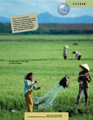 V I E T N A M
41
Answer:Present-dayVietnamistheresultofjoiningNorthand
SouthVietnaminthe1970s.
★
DID YOU KNOW?
French is one of the languages spoken
in Vietnam, and French cooking is part
of Vietnam’s cuisine. Sound odd?
France once ruled the country as a
colony, until the Vietnamese gained
their independence in the 1950s.
Farmers work in a rice paddy
in central Vietnam.
 