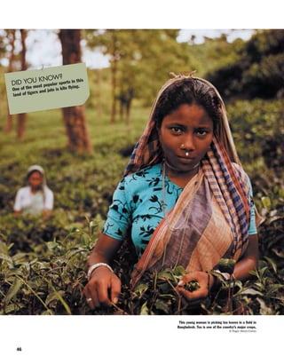 46
This young woman is picking tea leaves in a field in
Bangladesh. Tea is one of the country’s major crops.
© Roger Wood/Corbis
DID YOU KNOW?
One of the most popular sports in this
land of tigers and jute is kite flying.
 