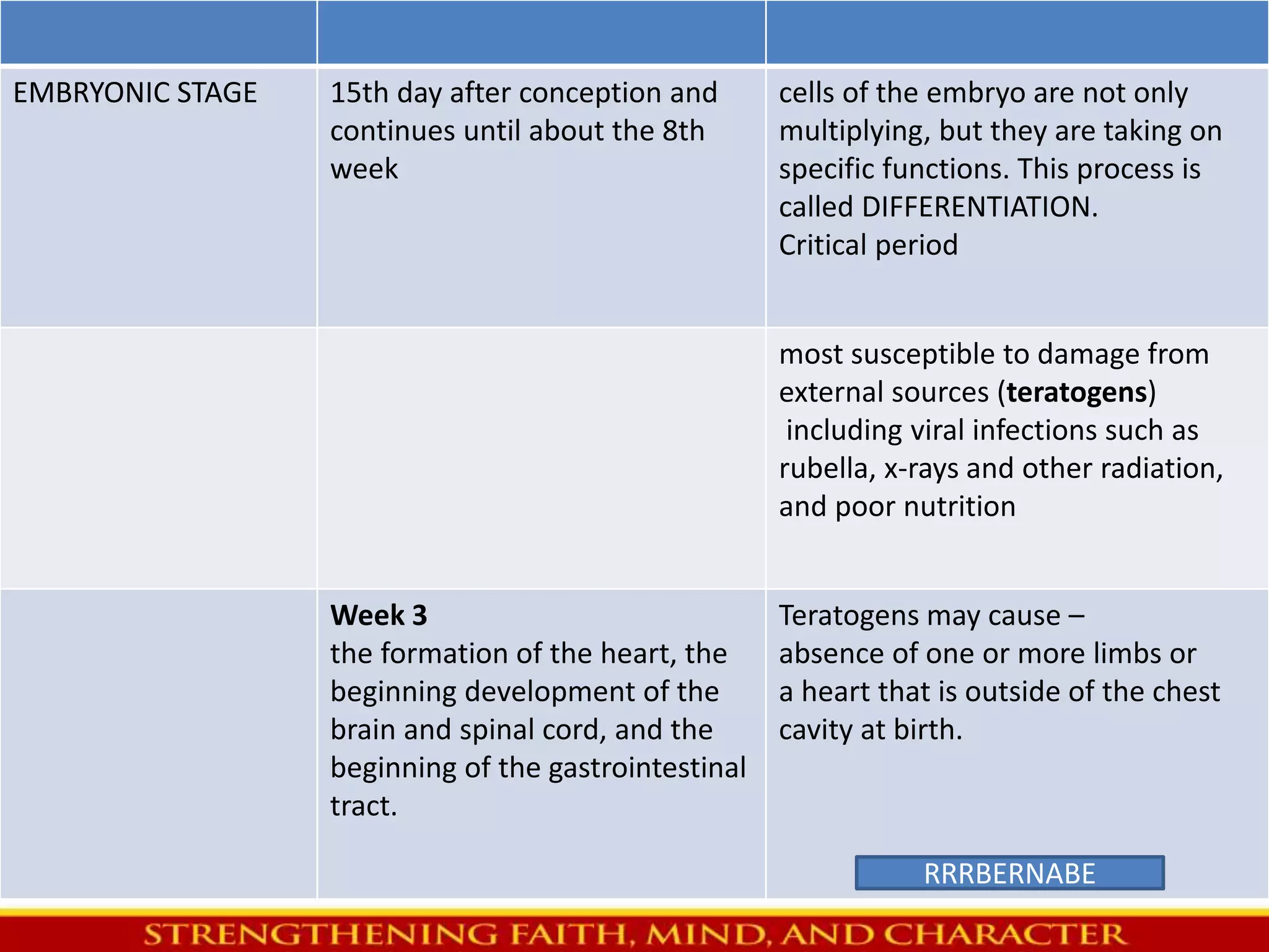 EMBRYONIC STAGE 15th day after conception and 
continues until about the 8th 
week 
cells of the embryo are not only 
multiplying, but they are taking on 
specific functions. This process is 
called DIFFERENTIATION. 
Critical period 
most susceptible to damage from 
external sources (teratogens) 
including viral infections such as 
rubella, x-rays and other radiation, 
and poor nutrition 
Week 3 
the formation of the heart, the 
beginning development of the 
brain and spinal cord, and the 
beginning of the gastrointestinal 
tract. 
Teratogens may cause – 
absence of one or more limbs or 
a heart that is outside of the chest 
cavity at birth. 
RRRBERNABE 
 