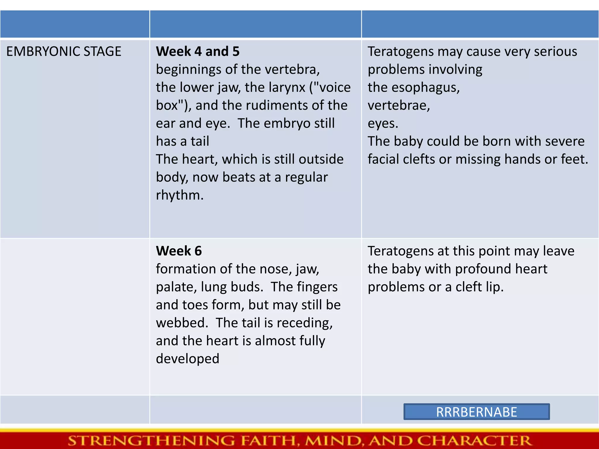 EMBRYONIC STAGE Week 4 and 5 
beginnings of the vertebra, 
the lower jaw, the larynx ("voice 
box"), and the rudiments of the 
ear and eye. The embryo still 
has a tail 
The heart, which is still outside 
body, now beats at a regular 
rhythm. 
Teratogens may cause very serious 
problems involving 
the esophagus, 
vertebrae, 
eyes. 
The baby could be born with severe 
facial clefts or missing hands or feet. 
Week 6 
formation of the nose, jaw, 
palate, lung buds. The fingers 
and toes form, but may still be 
webbed. The tail is receding, 
and the heart is almost fully 
developed 
Teratogens at this point may leave 
the baby with profound heart 
problems or a cleft lip. 
RRRBERNABE 
 