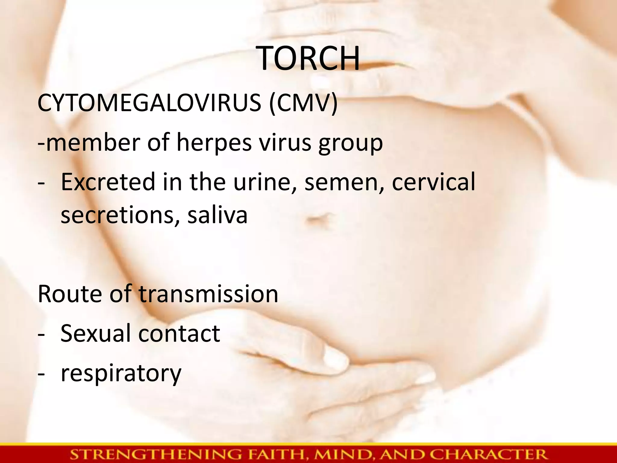 TORCH 
CYTOMEGALOVIRUS (CMV) 
-member of herpes virus group 
- Excreted in the urine, semen, cervical 
secretions, saliva 
Route of transmission 
- Sexual contact 
- respiratory 
 