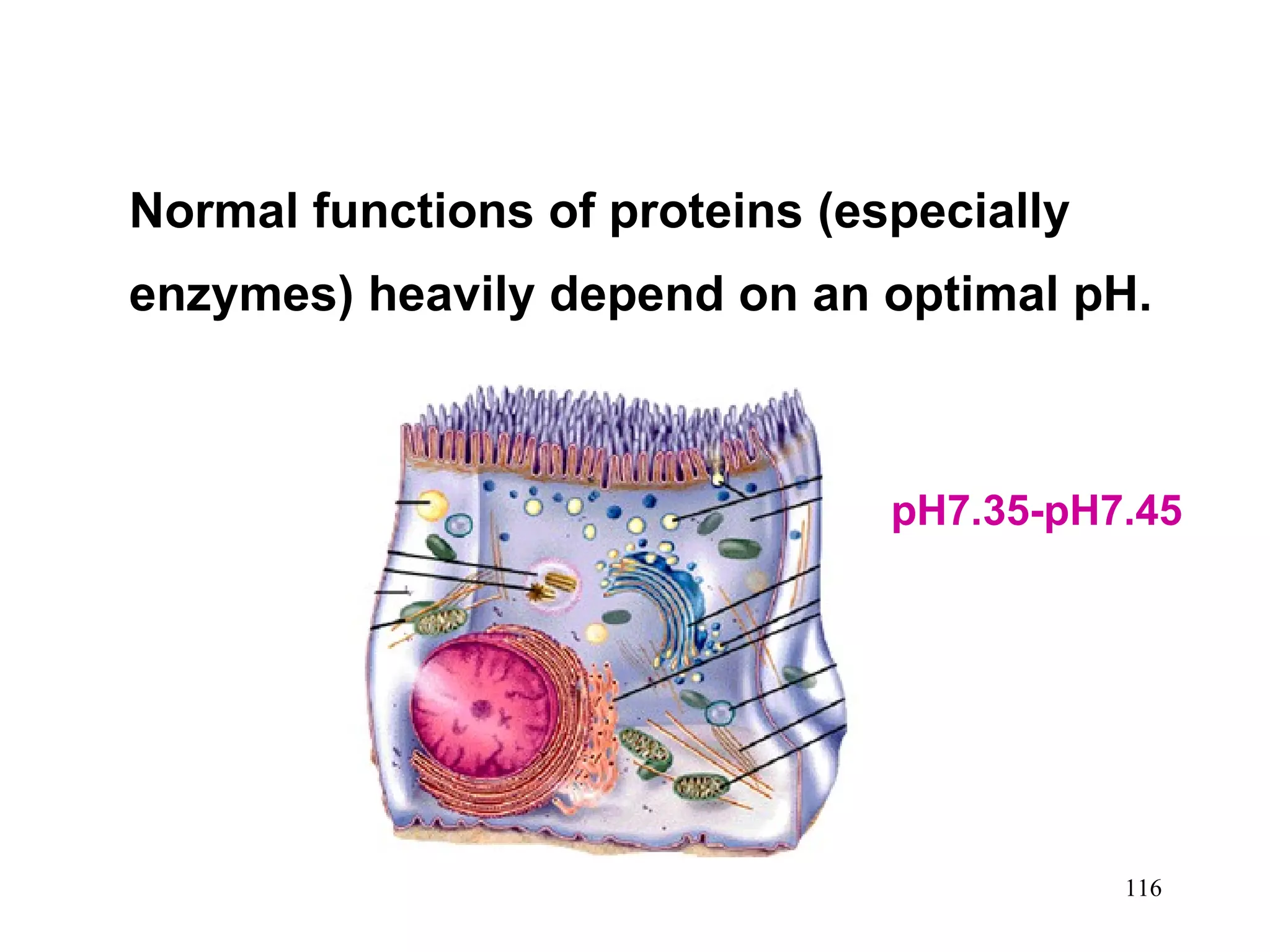 Normal functions of proteins (especially enzymes) heavily depend on an optimal pH.  pH7.35-pH7.45 