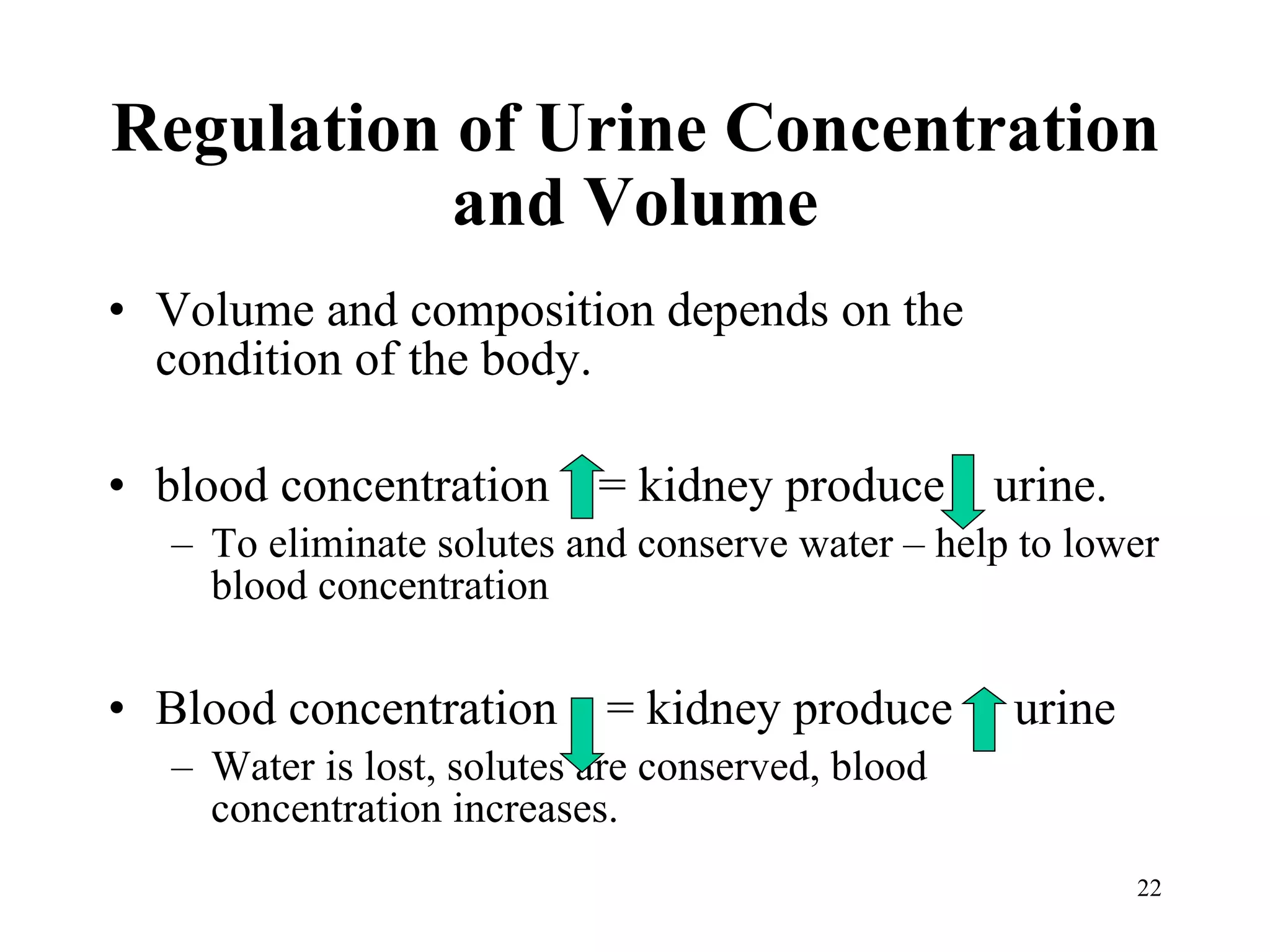 Regulation of Urine Concentration and Volume Volume and composition depends on the condition of the body. blood concentration  = kidney produce  urine. To eliminate solutes and conserve water – help to lower blood concentration Blood concentration  = kidney produce  urine Water is lost, solutes are conserved, blood concentration increases. 
