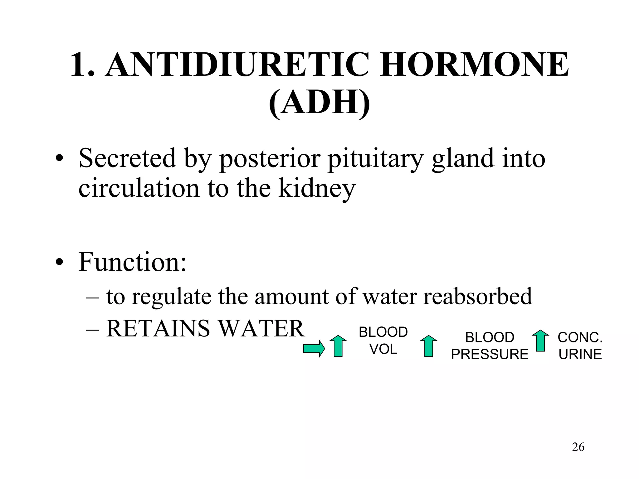 1. ANTIDIURETIC HORMONE (ADH) Secreted by posterior pituitary gland into circulation to the kidney Function:  to regulate the amount of water reabsorbed RETAINS WATER BLOOD VOL BLOOD PRESSURE CONC. URINE 