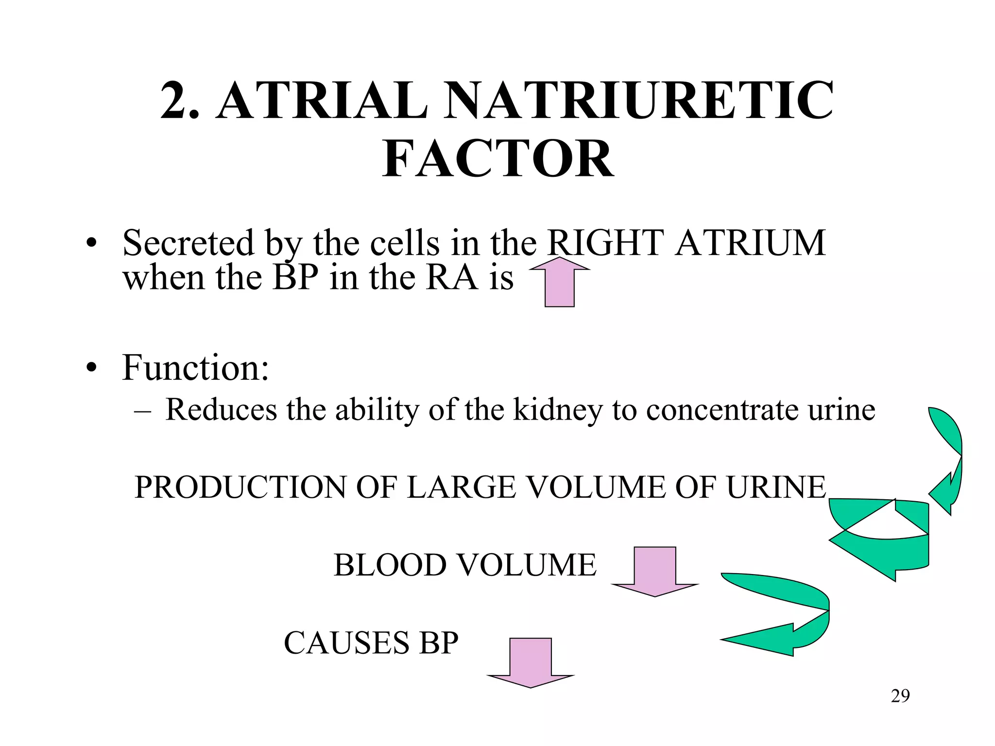 2. ATRIAL NATRIURETIC FACTOR Secreted by the cells in the RIGHT ATRIUM when the BP in the RA is Function: Reduces the ability of the kidney to concentrate urine  PRODUCTION OF LARGE VOLUME OF URINE BLOOD VOLUME CAUSES BP 