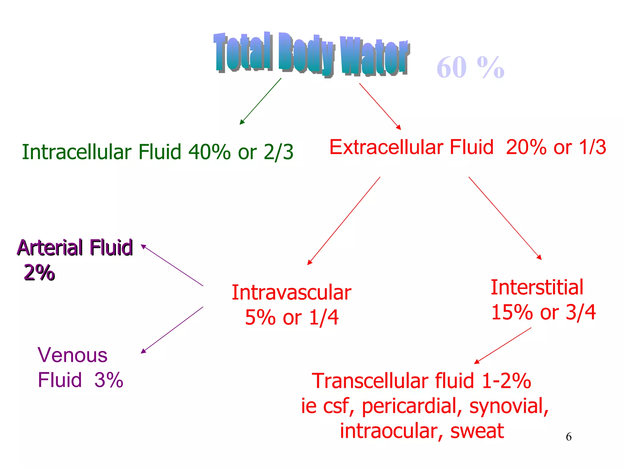     60 % Intracellular Fluid 40% or 2/3   Intravascular    5% or 1/4 Transcellular fluid 1-2%  ie csf, pericardial, synovial, intraocular, sweat Arterial Fluid  2% Extracellular Fluid  20% or 1/3 Interstitial  15% or 3/4 Venous Fluid  3% Total Body Water 