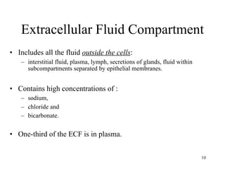 Extracellular Fluid Compartment Includes all the fluid  outside the cells :  interstitial fluid, plasma, lymph, secretions of glands, fluid within subcompartments separated by epithelial membranes. Contains high concentrations of : sodium,  chloride and  bicarbonate. One-third of the ECF is in plasma. 
