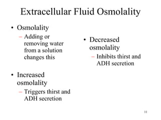 Extracellular Fluid Osmolality Osmolality Adding or removing water from a solution changes this Increased osmolality Triggers thirst and ADH secretion Decreased osmolality Inhibits thirst and ADH secretion 