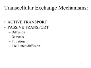 Transcellular Exchange Mechanisms: ACTIVE TRANSPORT PASSIVE TRANSPORT Diffusion Osmosis Filtration Facilitated diffusion 