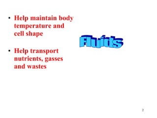 Help maintain body temperature and cell shape Help transport nutrients, gasses and wastes Fluids 