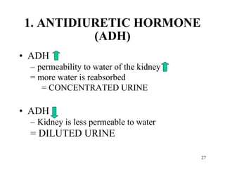 ADH  permeability to water of the kidney  = more water is reabsorbed  = CONCENTRATED URINE ADH  Kidney is less permeable to water = DILUTED URINE 1. ANTIDIURETIC HORMONE (ADH) 