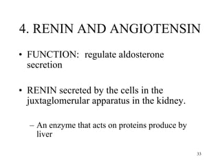4. RENIN AND ANGIOTENSIN FUNCTION:  regulate aldosterone secretion RENIN secreted by the cells in the juxtaglomerular apparatus in the kidney. An enzyme that acts on proteins produce by liver 