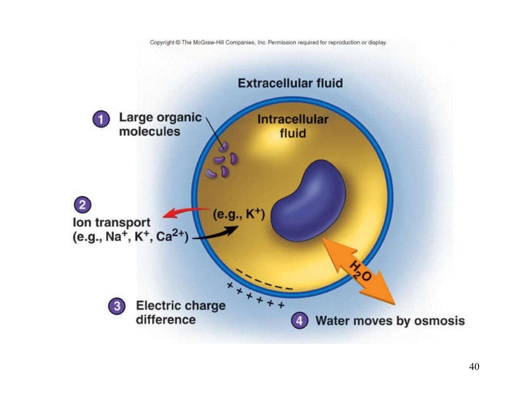 FLUIDS AND ELECTROLYTE IMBALANCE