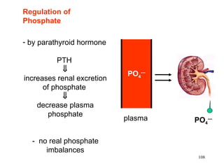 Regulation of
Phosphate

- by parathyroid hormone

          PTH
            ⇓
                            PO4---
increases renal excretion
      of phosphate
            ⇓
    decrease plasma
        phosphate
                            plasma   PO4---

  - no real phosphate
      imbalances
                                      108
 