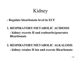 Kidney
- Regulate bicarbonate level in ECF

1. RESPIRATORY/METABOLIC ACIDOSIS
   - kidney excrete H and reabsorbs/generates
   Bicarbonate

2. RESPIRATORY/METABOLIC ALKALOSIS
   - kidney retains H ion and excrete Bicarbonate

                                                120
 