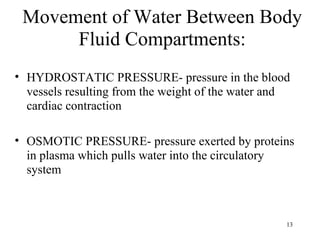 Movement of Water Between Body
      Fluid Compartments:
• HYDROSTATIC PRESSURE- pressure in the blood
  vessels resulting from the weight of the water and
  cardiac contraction

• OSMOTIC PRESSURE- pressure exerted by proteins
  in plasma which pulls water into the circulatory
  system



                                                   13
 