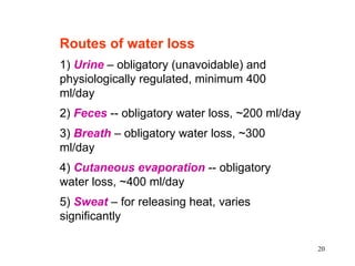 Routes of water loss
1) Urine – obligatory (unavoidable) and
physiologically regulated, minimum 400
ml/day
2) Feces -- obligatory water loss, ~200 ml/day
3) Breath – obligatory water loss, ~300
ml/day
4) Cutaneous evaporation -- obligatory
water loss, ~400 ml/day
5) Sweat – for releasing heat, varies
significantly

                                                 20
 
