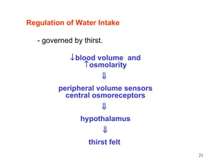 Regulation of Water Intake

   - governed by thirst.

             ↓blood volume and
                 ↑osmolarity
                       ⇓
         peripheral volume sensors
           central osmoreceptors
                       ⇓
                hypothalamus
                           ⇓
                   thirst felt
                                     21
 