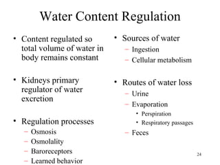 Water Content Regulation
• Content regulated so       • Sources of water
  total volume of water in      – Ingestion
  body remains constant         – Cellular metabolism

• Kidneys primary            • Routes of water loss
  regulator of water            – Urine
  excretion
                                – Evaporation
                                   • Perspiration
• Regulation processes             • Respiratory passages
   –   Osmosis                  – Feces
   –   Osmolality
   –   Baroreceptors                                        24
   –   Learned behavior
 