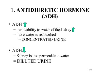1. ANTIDIURETIC HORMONE
          (ADH)
• ADH
 – permeability to water of the kidney
 = more water is reabsorbed
    = CONCENTRATED URINE

• ADH
 – Kidney is less permeable to water
 = DILUTED URINE
                                         27
 
