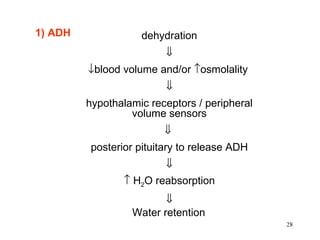 1) ADH              dehydration
                         ⇓
         ↓blood volume and/or ↑osmolality
                         ⇓
         hypothalamic receptors / peripheral
                  volume sensors
                         ⇓
         posterior pituitary to release ADH
                         ⇓
                ↑ H2O reabsorption
                         ⇓
                  Water retention
                                               28
 