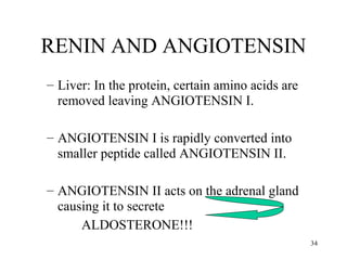 RENIN AND ANGIOTENSIN
– Liver: In the protein, certain amino acids are
  removed leaving ANGIOTENSIN I.

– ANGIOTENSIN I is rapidly converted into
  smaller peptide called ANGIOTENSIN II.

– ANGIOTENSIN II acts on the adrenal gland
  causing it to secrete
      ALDOSTERONE!!!
                                                   34
 