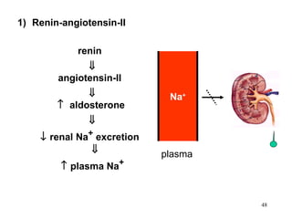 1) Renin-angiotensin-II

            renin
              ⇓
        angiotensin-II
              ⇓              Na+
        ↑ aldosterone
               ⇓
    ↓ renal Na+ excretion
               ⇓            plasma
         ↑ plasma Na+


                                     48
 