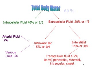 60 %

Intracellular Fluid 40% or 2/3      Extracellular Fluid 20% or 1/3



Arterial Fluid
 2%
                       Intravascular                   Interstitial
                        5% or 1/4                      15% or 3/4

  Venous
  Fluid 3%                         Transcellular fluid 1-2%
                                 ie csf, pericardial, synovial,
                                      intraocular, sweat          6
 
