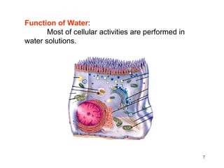Function of Water:
       Most of cellular activities are performed in
water solutions.




                                                      7
 