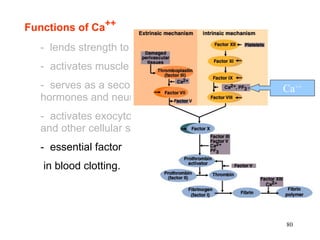 Functions of Ca++
  - lends strength to the skeleton
  - activates muscle contraction
  - serves as a second messenger for some       Ca++
  hormones and neurotransmitters
  - activates exocytosis of neurotransmitters
  and other cellular secretions
  - essential factor
   in blood clotting.




                                                80
 