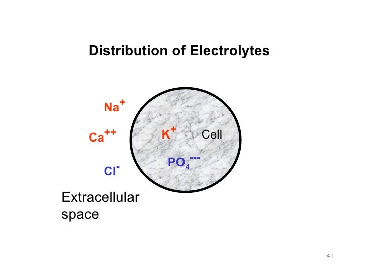 Fluids & Electrolyte