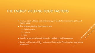 THE ENERGY YIELDING FOOD FACTORS
 Human body utilizes potential energy in foods for maintaining life and
doing work.
 The energy yielding food factors are
 Carbohydrates
 Proteins
 Fats
 In cells, enzymes degrade these by oxidation yielding energy
 Carbs and fats give CO2 , water and heat while Proteins give urea along
with these
 
