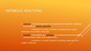 METABOLIC REACTIONS
 catabolic – the breaking down of compounds (for example, of glucose
to pyruvate by cellular respiration)
Catabolism is mainly involved in breaking down larger
molecules into smaller molecules.
 anabolic – the building up (synthesis) of compounds (such as proteins,
carbohydrates, lipids, and nucleic acids)
Anabolism is mainly involved in building molecules from
smaller molecules.
 