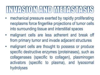 • Dissemination of malignant cells via the
bloodstream and is directly related to the
vascularity of the tumor.
• Malignan...