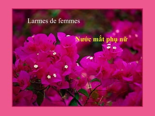 Nước mắt phụ nữ Larmes de femmes 