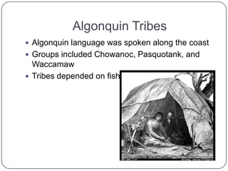 Algonquin TribesAlgonquin language was spoken along the coastGroups included Chowanoc, Pasquotank, and WaccamawTribes depended on fish, fruit, and vegetables