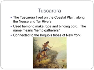 TuscaroraThe Tuscarora lived on the Coastal Plain, along the Neuse and Tar RiversUsed hemp to make rope and binding cord.  The name means “hemp gatherers”Connected to the Iroquois tribes of New York
