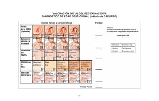 - 85 -
VALORACIÓN INICIAL DEL RECIÉN NACIDO/A
DIAGNÓSTICO DE EDAD GESTACIONAL (método de CAPURRO)
 