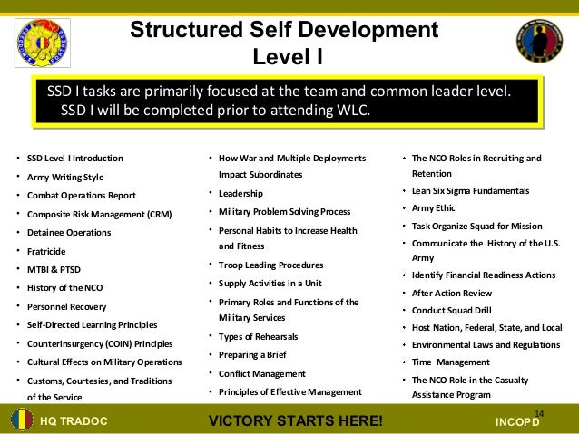 ssd level 1 module 1 exam answers