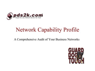 Network Capability Profile A Comprehensive Audit of Your Business Networks 