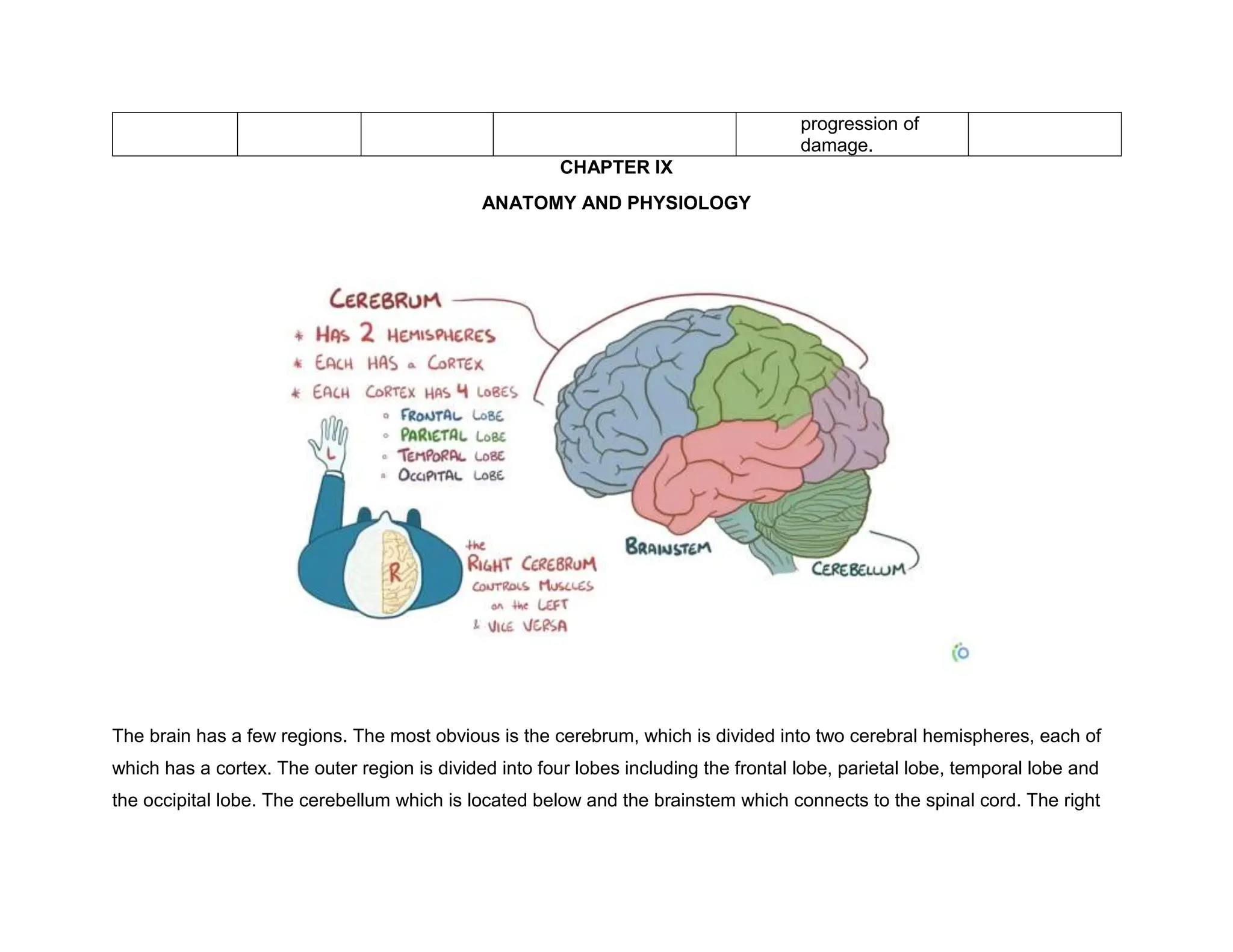 progression of
damage.
CHAPTER IX
ANATOMY AND PHYSIOLOGY
The brain has a few regions. The most obvious is the cerebrum, which is divided into two cerebral hemispheres, each of
which has a cortex. The outer region is divided into four lobes including the frontal lobe, parietal lobe, temporal lobe and
the occipital lobe. The cerebellum which is located below and the brainstem which connects to the spinal cord. The right
 